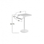 Antonio Lupi Stolik Łazienkowy z Relingiem 65/75 cm Biały Mat GINO1