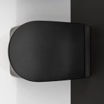 Axa DP Miska stojąca 36x50,5 cm z deską WC wolnoopadającą Czarny mat 8401407+AF8407