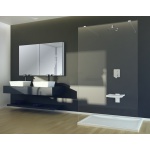 Besco Aveo Due Ścianka Boczna Prysznicowa Walk In 100x195 AVD-100-195C