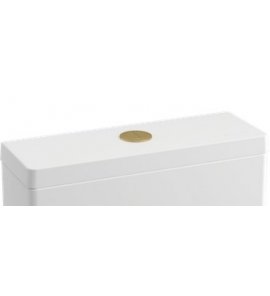 Britton Przycisk do spłuczki szczotkowany mosiądz BRBBB1