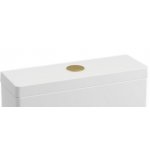 Britton Przycisk do spłuczki szczotkowany mosiądz BRBBB1