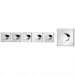 Bruma Flow Bateria natryskowa termostatyczna podtynkowa z 5 wyjsciami chrom 17918011