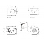 Flaminia App Wc wiszący 54x36 cm biały AP118