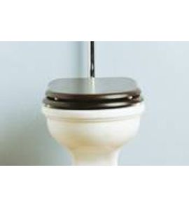  Flaminia Efi Deska Sedesowa Zwykła z chromowanymi zawiasami drewniana 23N/C W MAGAZYNIE!!