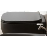  Flaminia Fluo Wc podwieszane z systemem goclean carbone FU118GCAR 