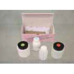 Flaminia Zestaw naprawczy do wanien i półek KIT84