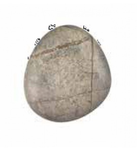 Gessi Equilibrio Pokrętło do baterii forest gold 52002.543 / 52002543