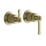 Gessi Venti20 Mieszacz ścienny 2-drożny element zewnętrzny brass brushed pvd 65038.727