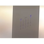 HOESCH SensePerience Kabina parowa prostokątna przyścienna z brodzikiem z odlewu mineralnego 1800x1000 biała 533381xA.010550