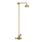 Lefroy Brooks Classic Bateria natryskowa termostatyczna ścienna z deszczownicą Ø 200 mm Polished Brass BL8702PB