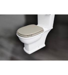 Rak Ceramika Washington Deska WC wolnoopadająca poliester lakier cappuccino mat WTSC3901514